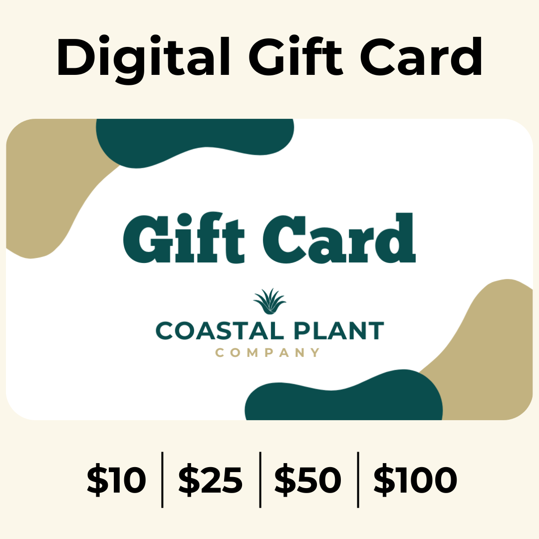 Coastal Plant Company Gift Card