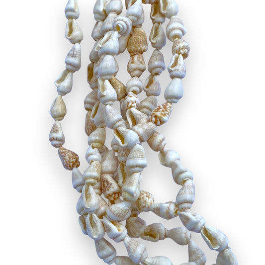 Hanging Air Plant Holder Seashell Cradle made of various seashells on a white background