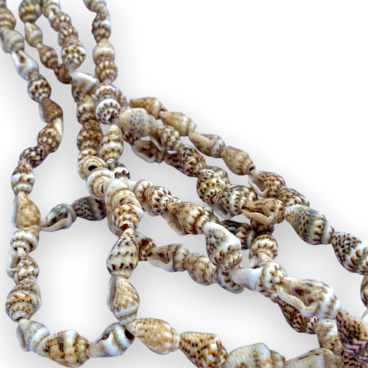 Hanging Air Plant Holder Seashell Cradle made of shell beads on a white background