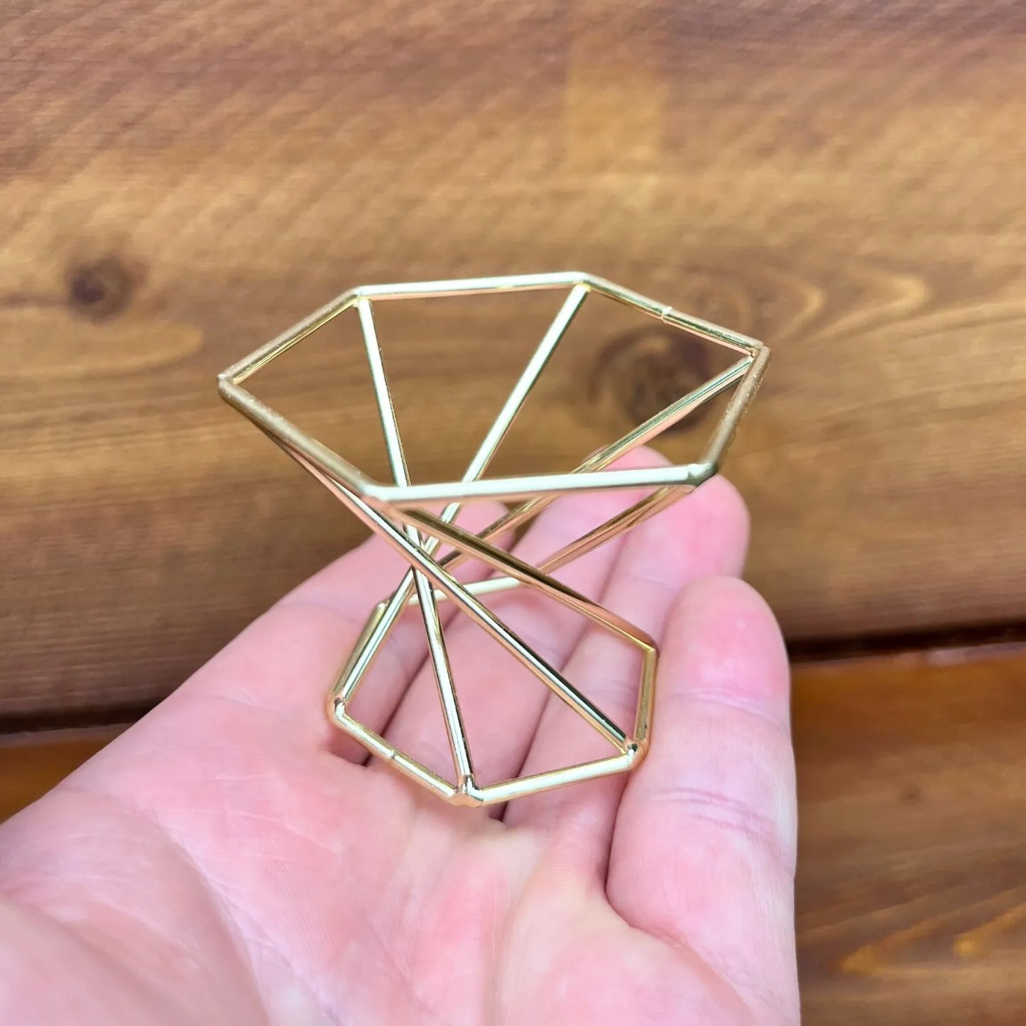 Golden metal tillandsia geometric air plant holder
