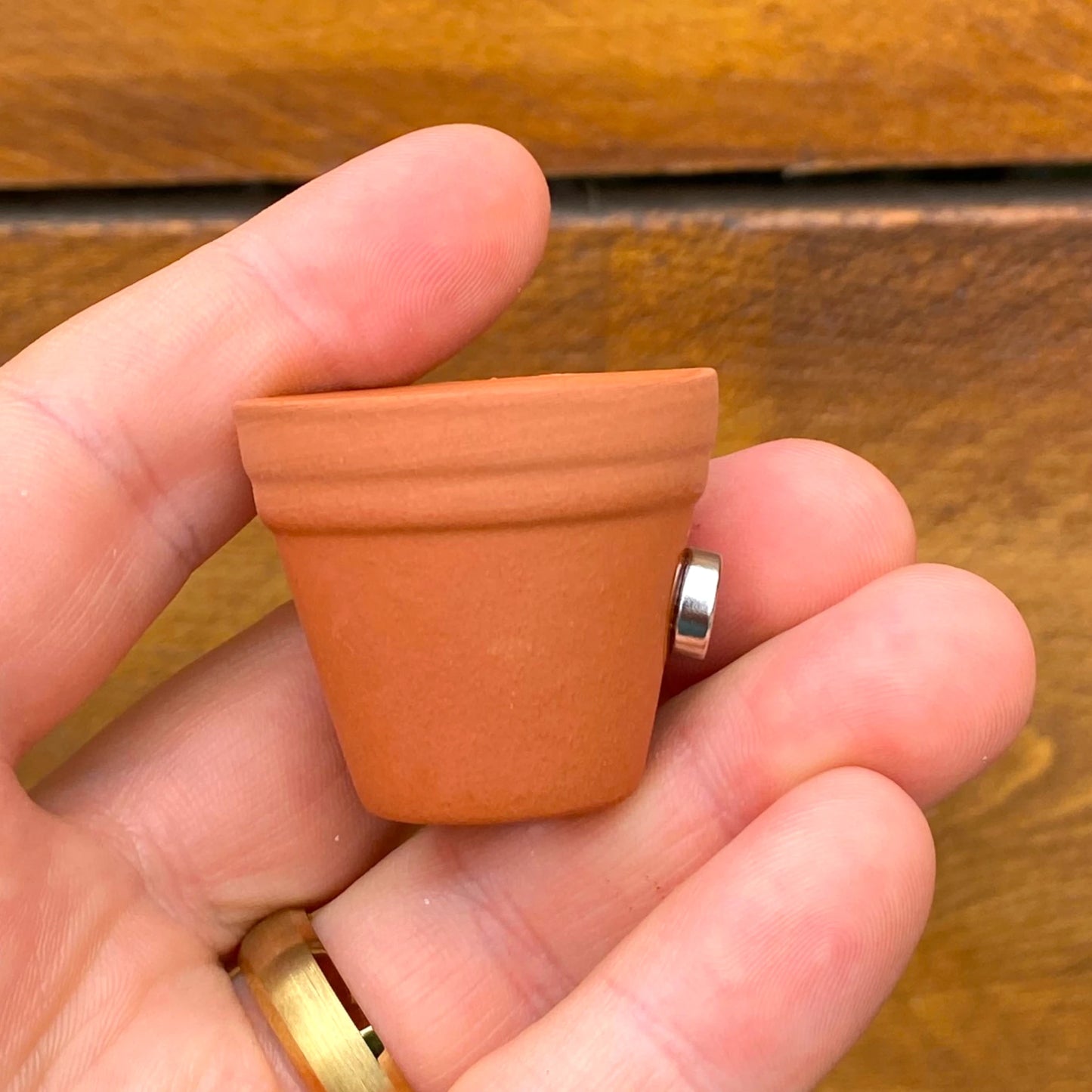 Air Plant Magnet - Mini Terracotta Pot