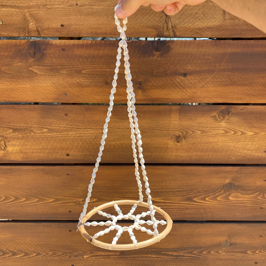 Coastal Drift Halo - Hanging Shell Air Plant Holder