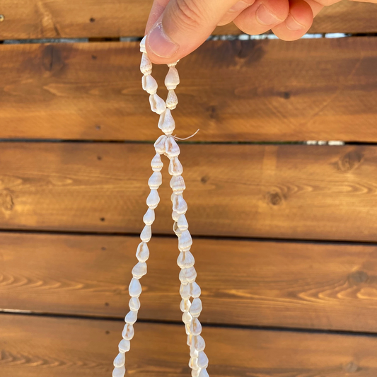Coastal Drift Halo - Hanging Shell Air Plant Holder