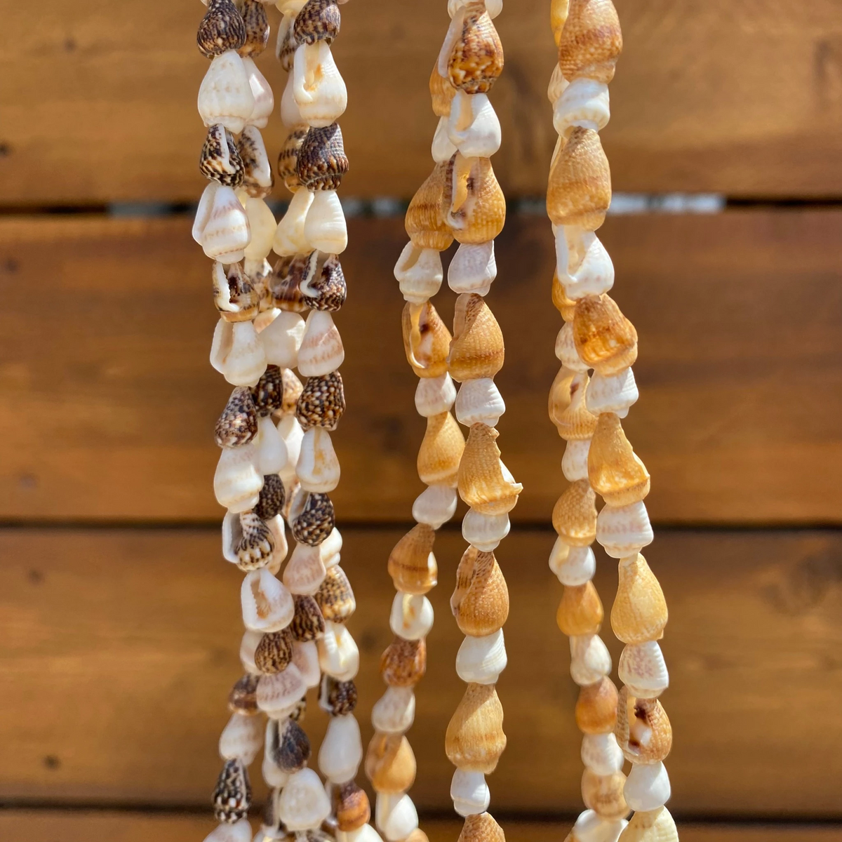 Seashell Cradle – Hanging Air Plant Holder